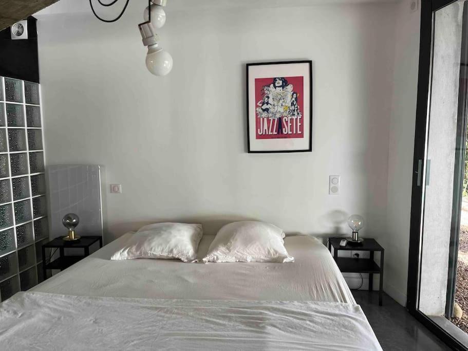 Loft Sur Le Mont Saint Clair - Villa *