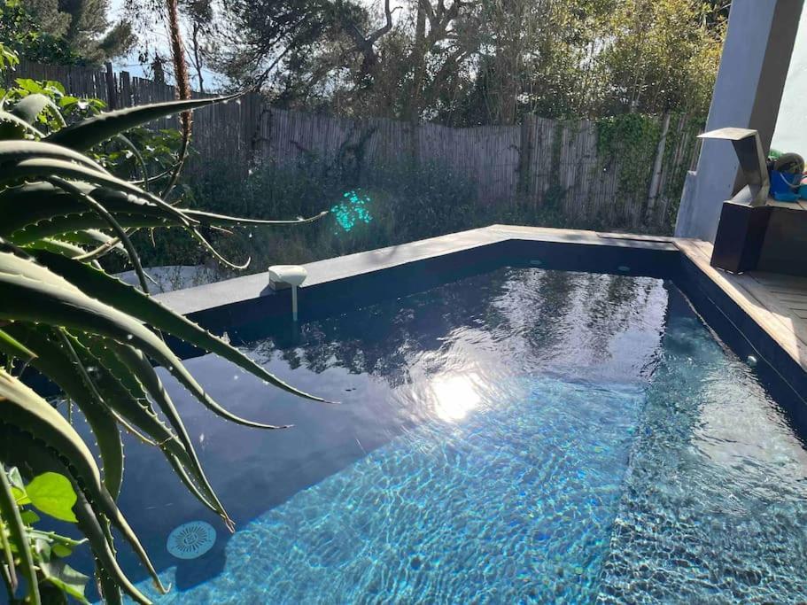 Loft Sur Le Mont Saint Clair -