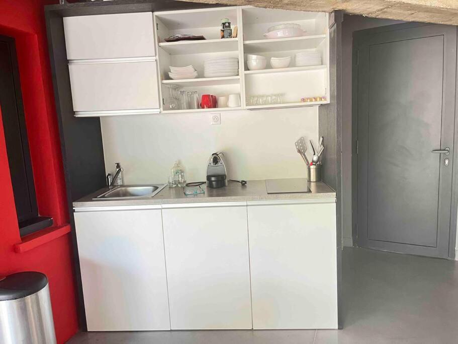Loft Sur Le Mont Saint Clair - Villa *