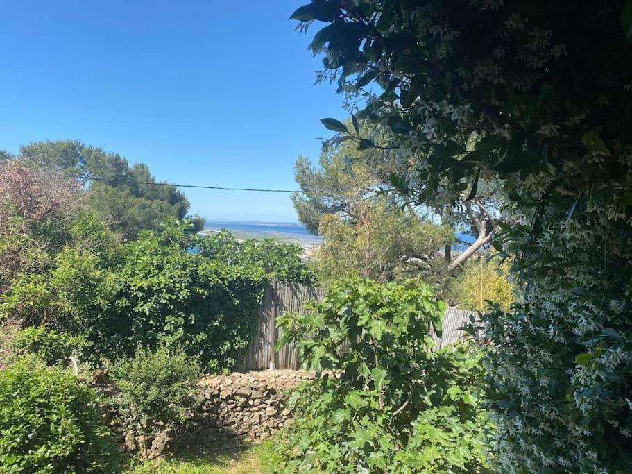 Loft Sur Le Mont Saint Clair - Villa