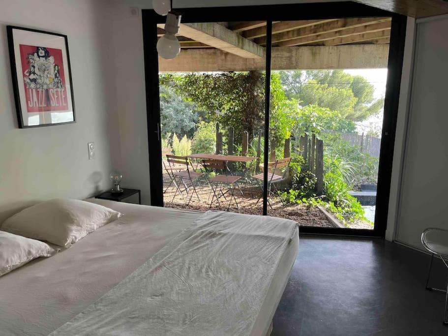Loft Sur Le Mont Saint Clair - Villa *